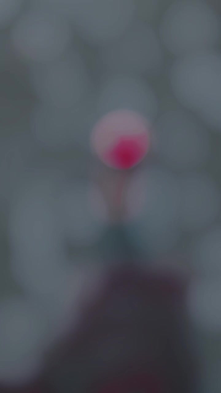@👸🧸🫶🫀🇮🇹💜