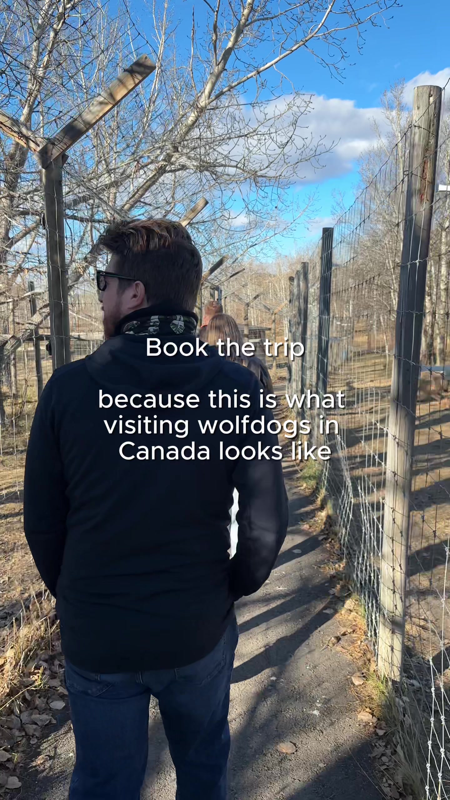 @Yamnuska Wolfdog Sanctuary