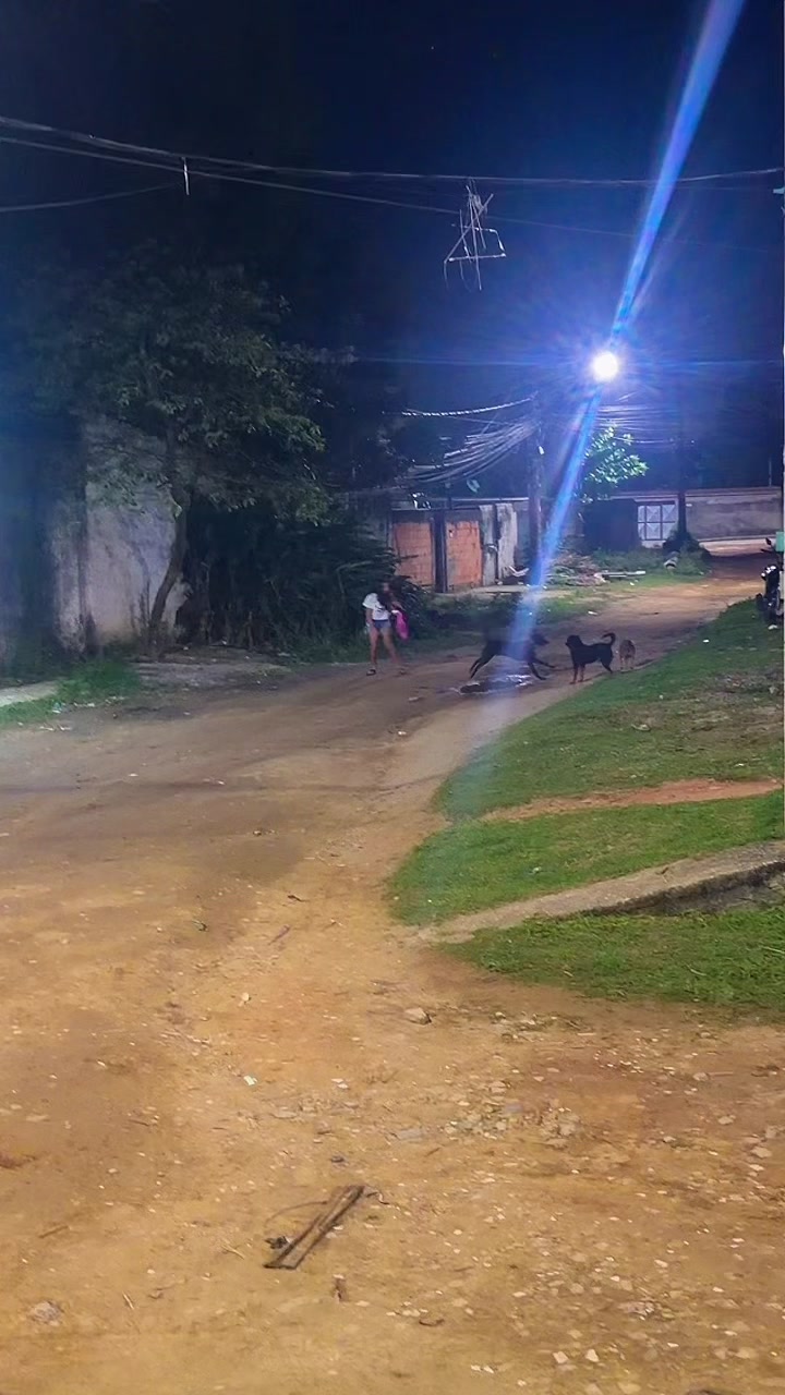@paidasgemeas