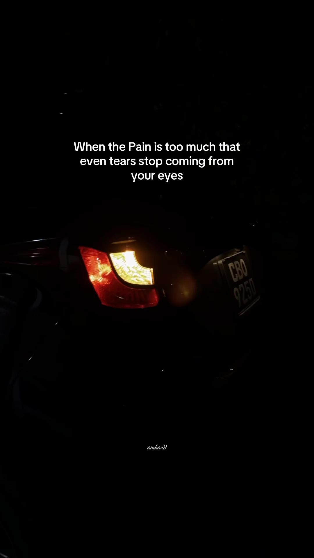@AM 🕷️