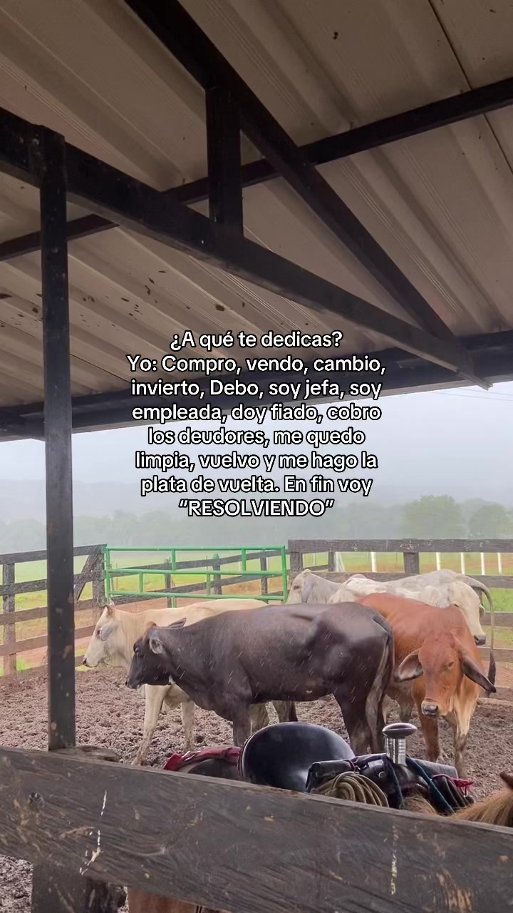 @Aleja🐴