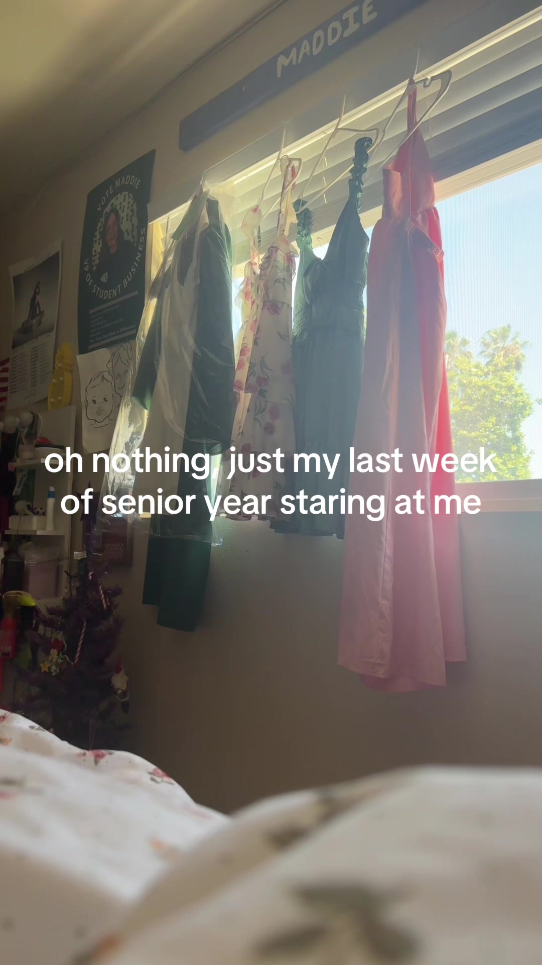 @maddiebobadddie