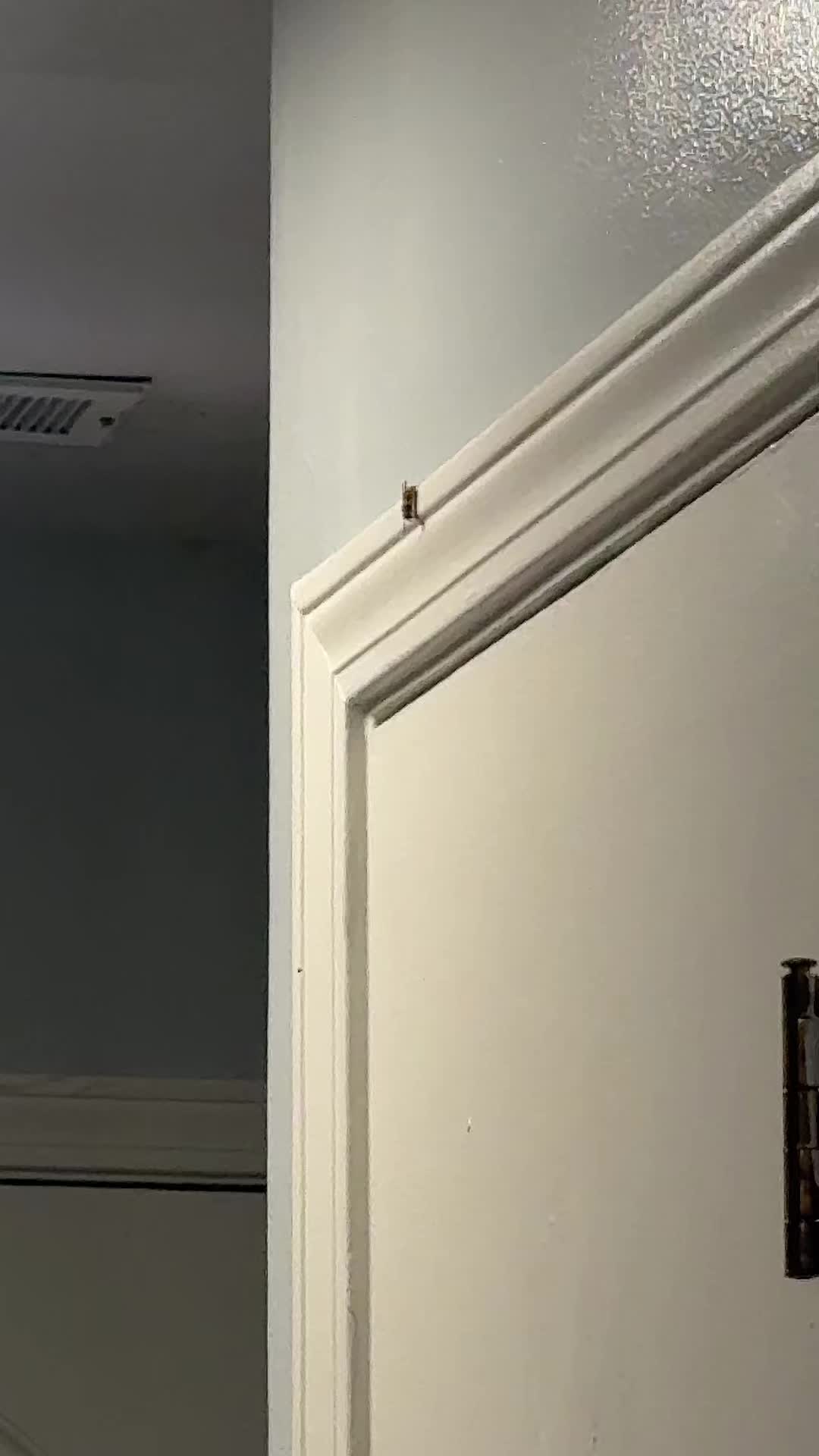 @thatsfinn_