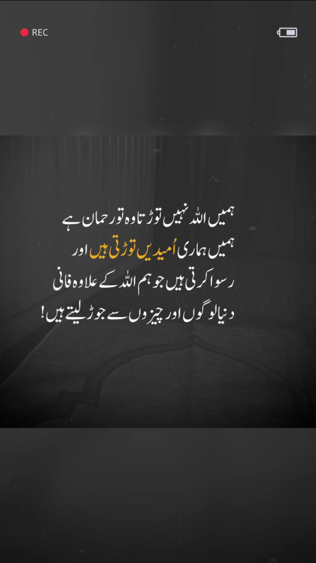 @❦︎❥︎mehar✰༆ ᶻᵘᵇᵃⁱʳ ༎ຶ✰