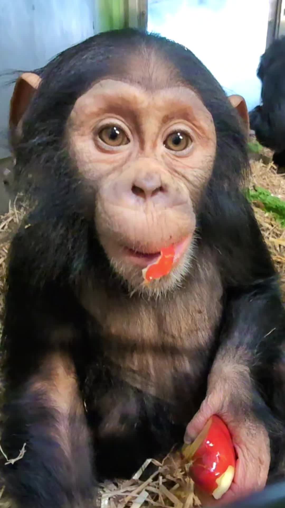 @Sedgwick County Zoo