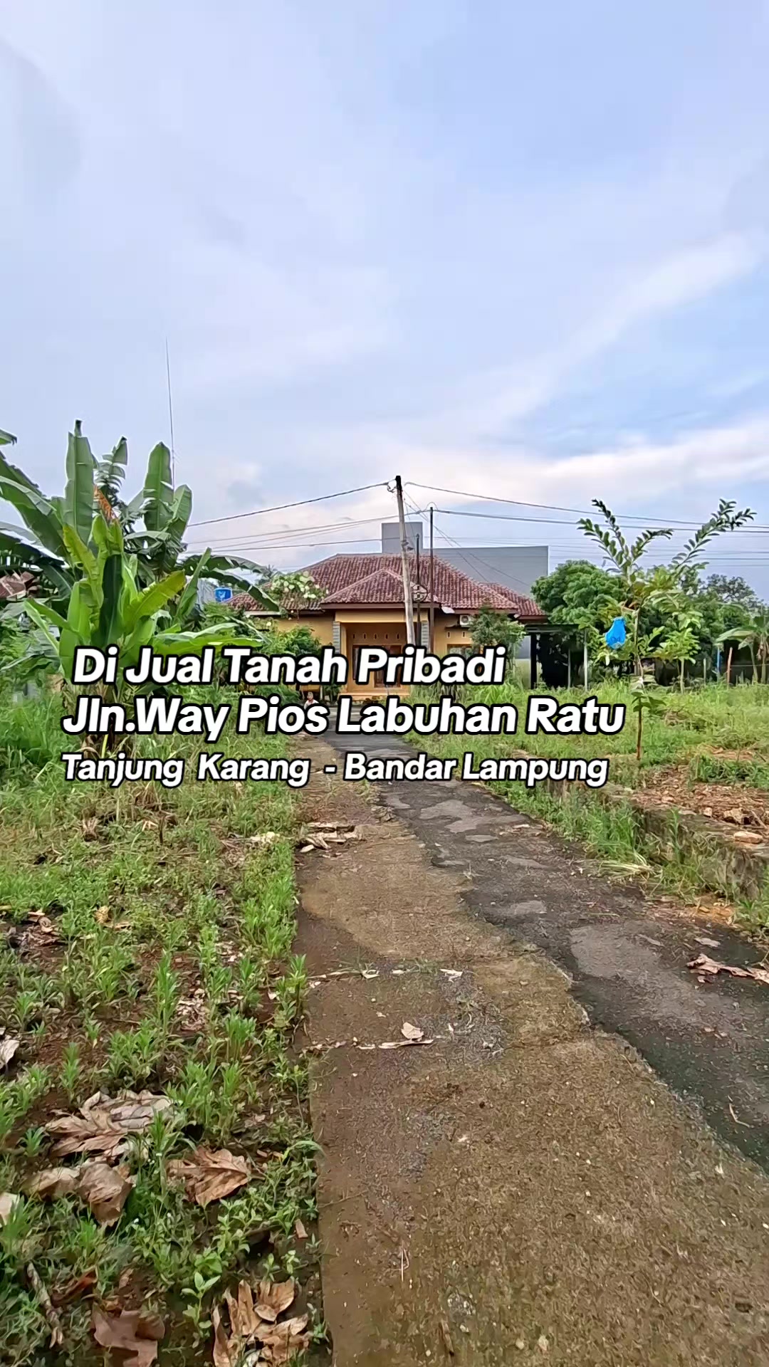 @Tanah pribadi Lampung