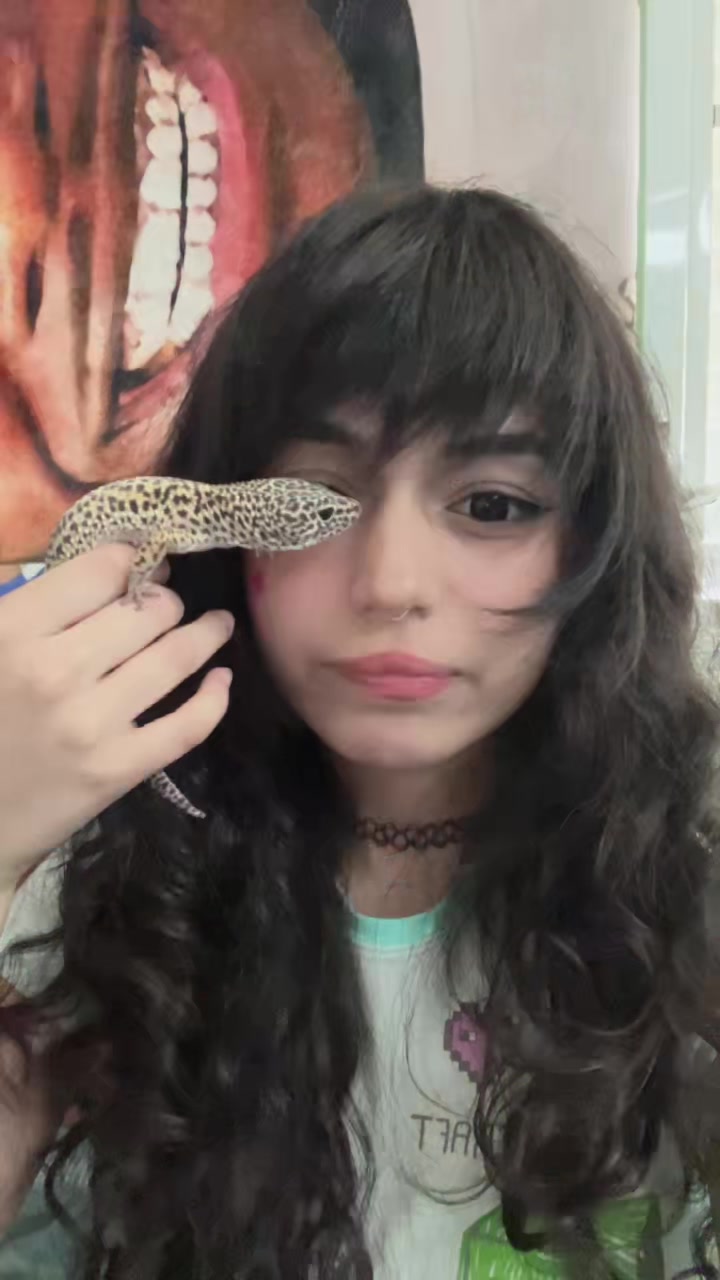 @miso