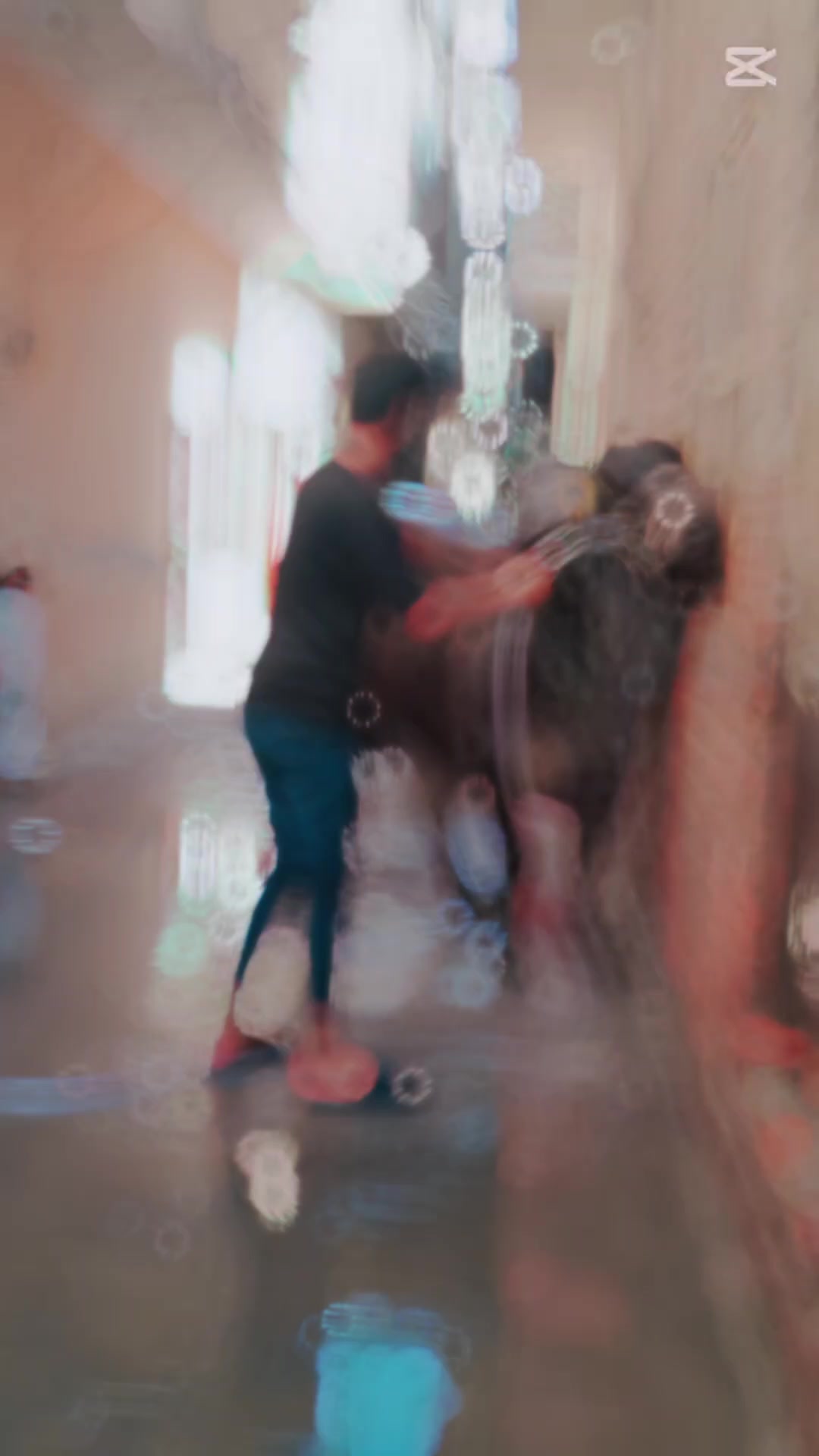 @🙉shahroz🙈