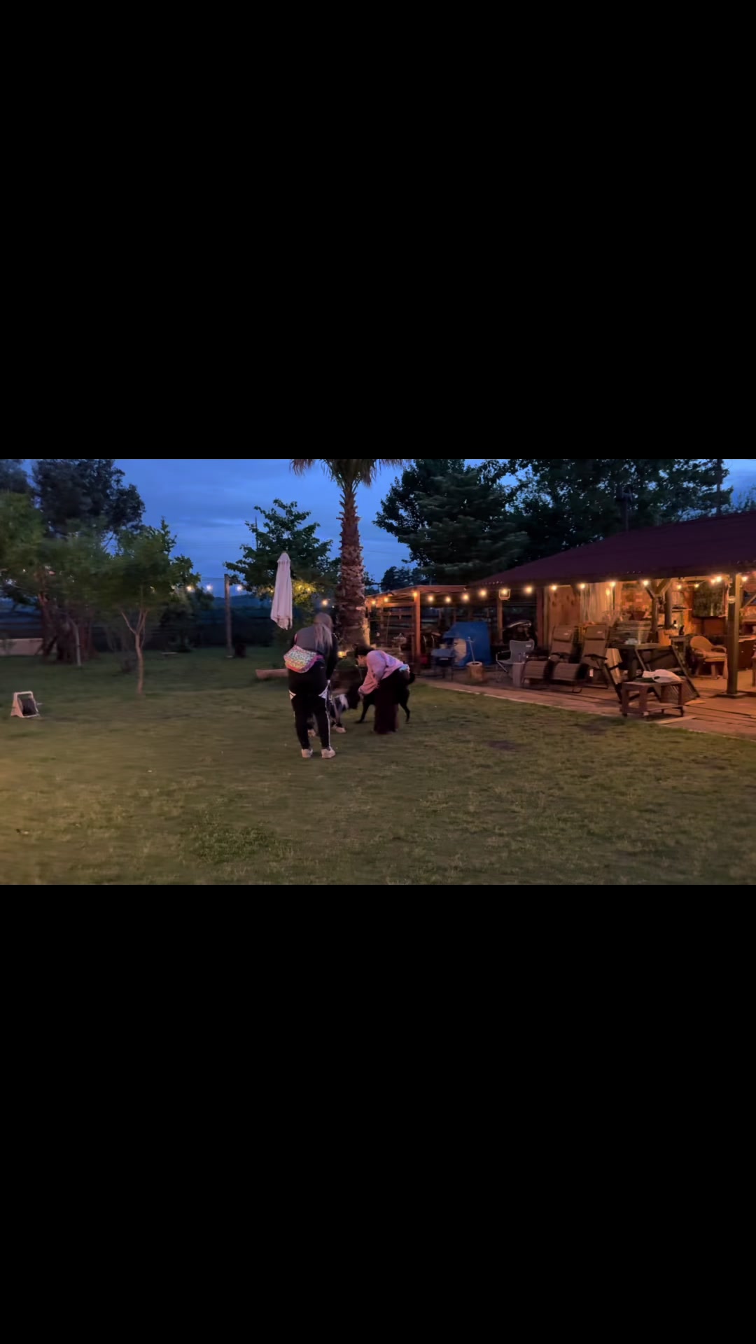 @バムパパ