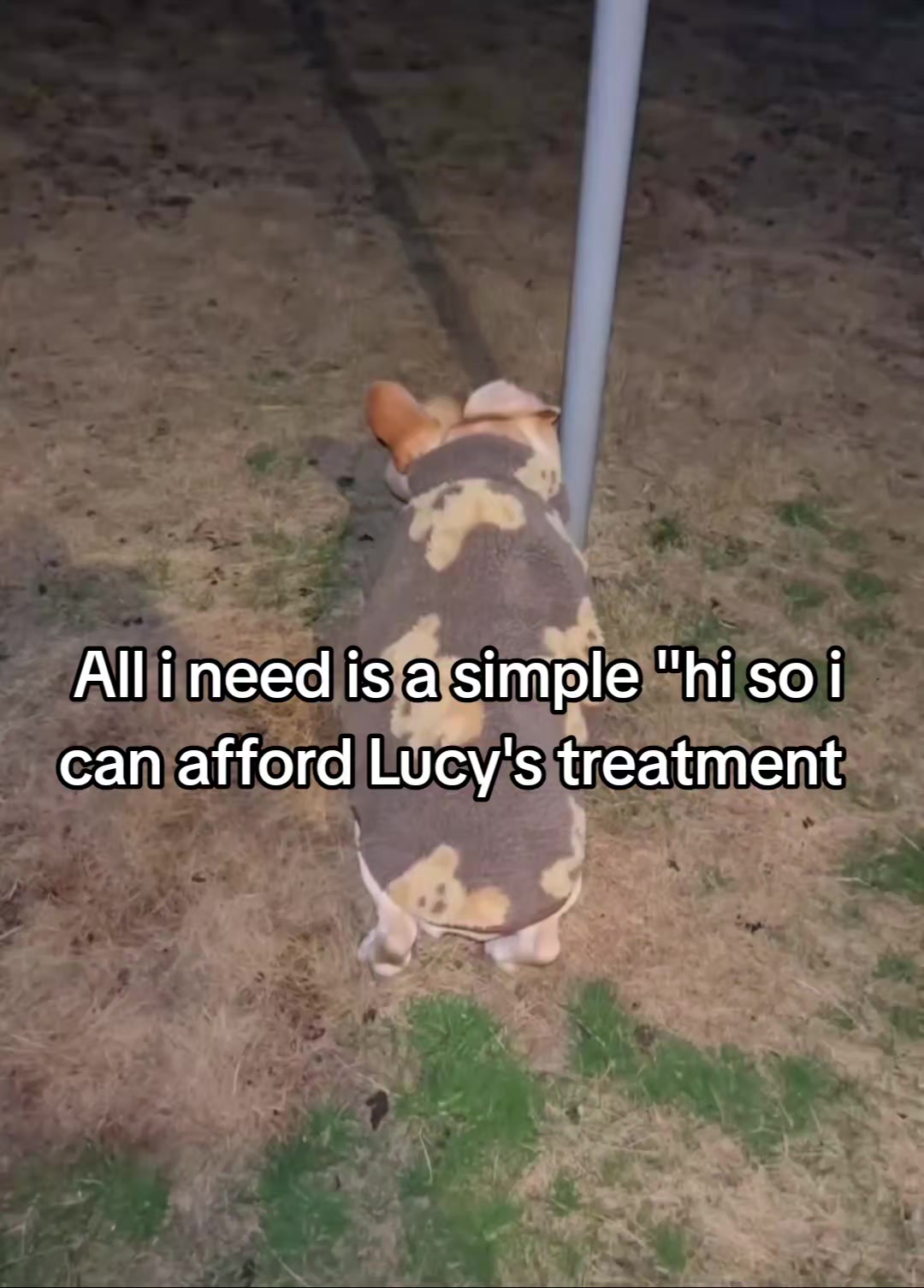 @CancerFighterPup