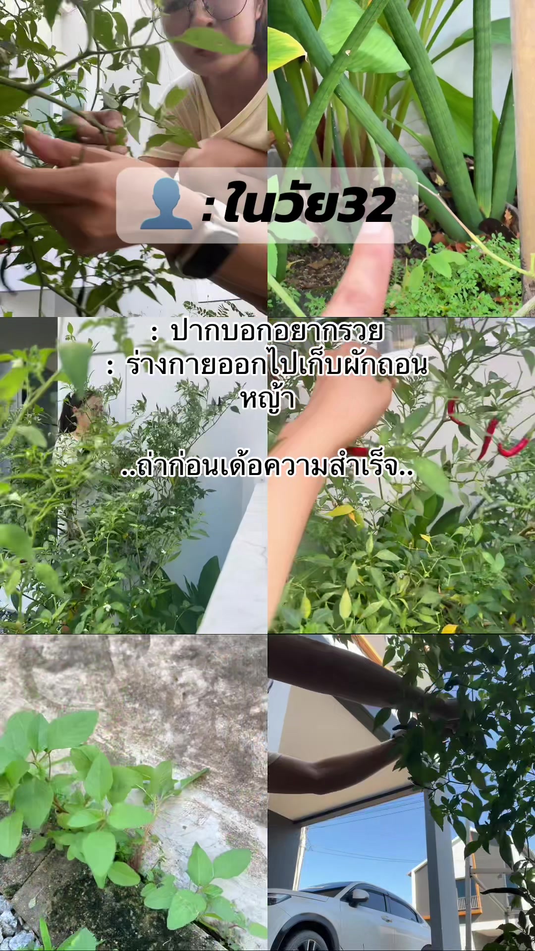 @พอแอนอ