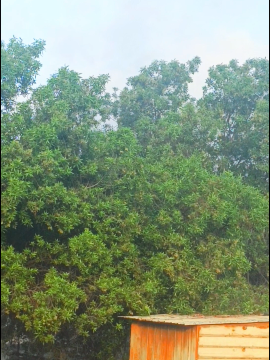 @آسماء سومرو