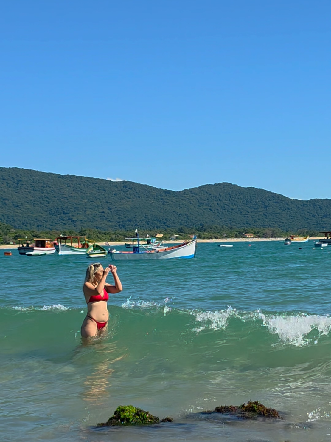 @Brazilian Adventure