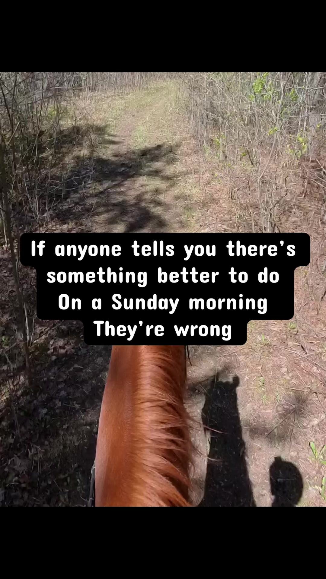 @Karin - Empower Equine app