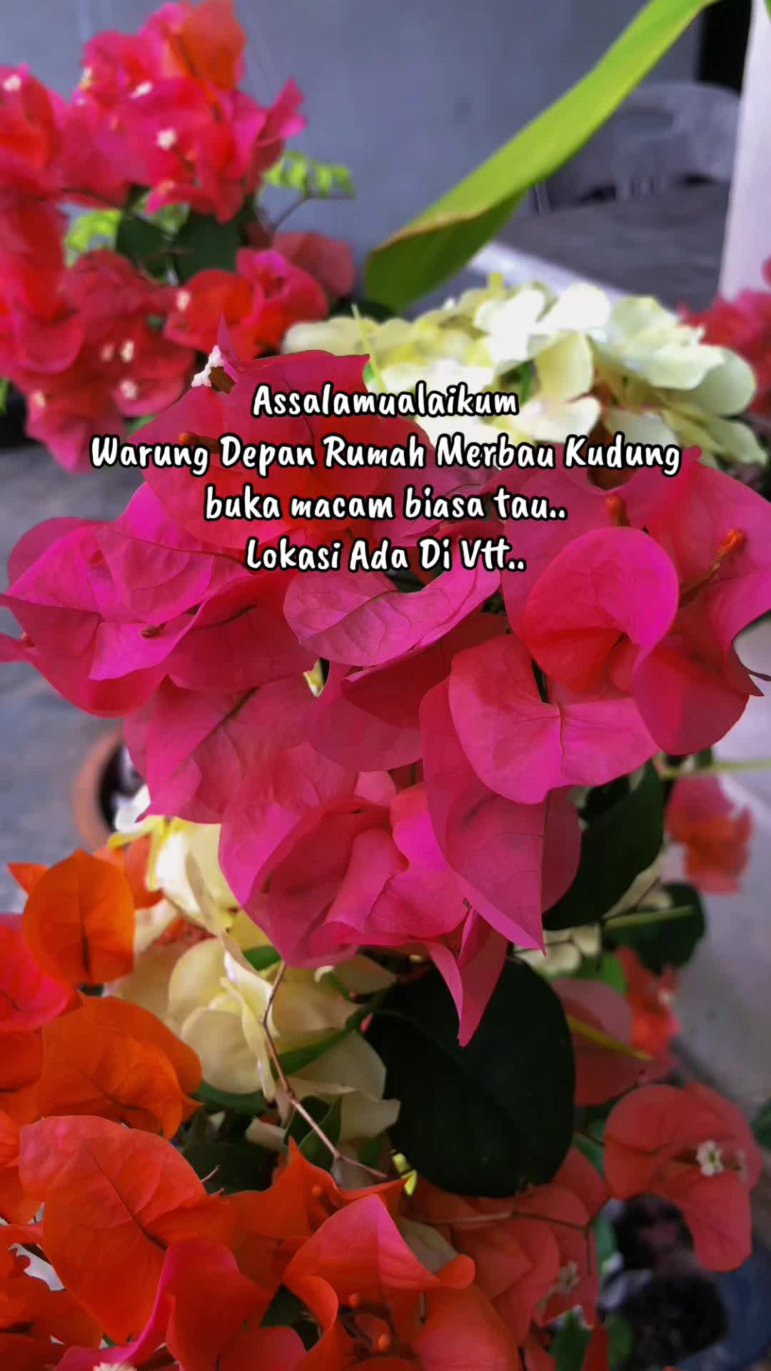 @Fahirah99