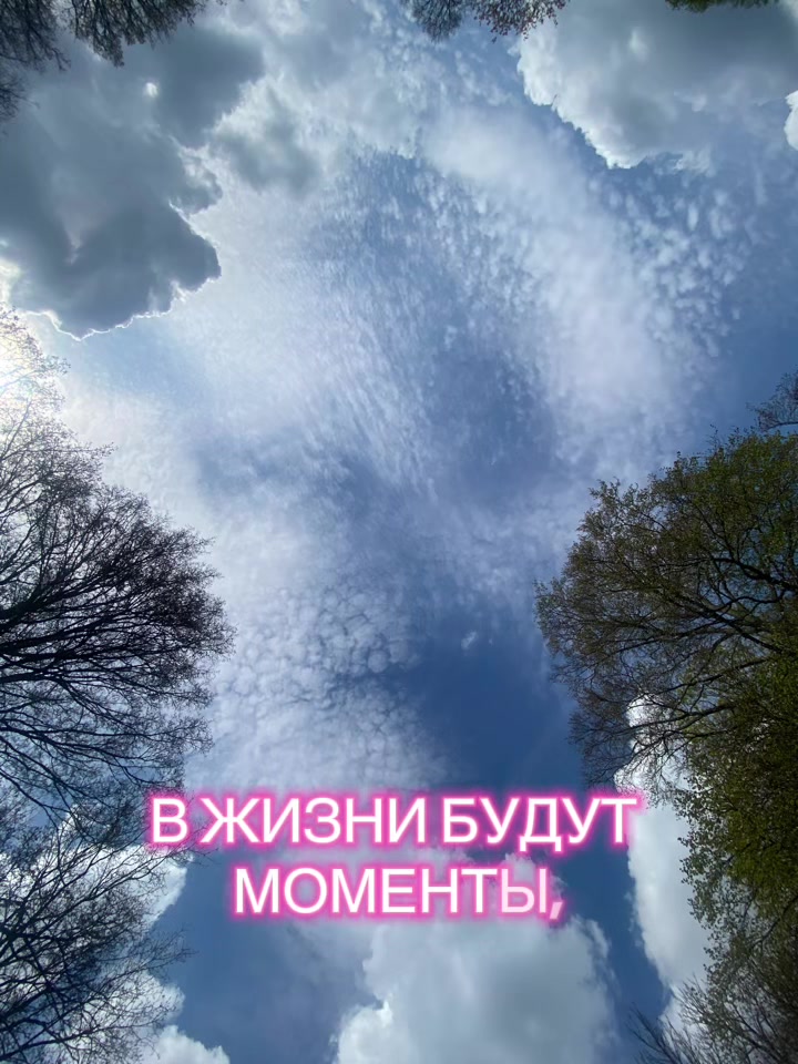 @Svetlana_dumbrova