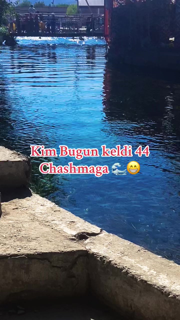 @_Jonik_o3_