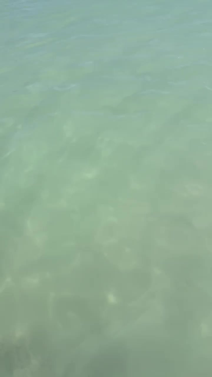 @WhoIsRicky