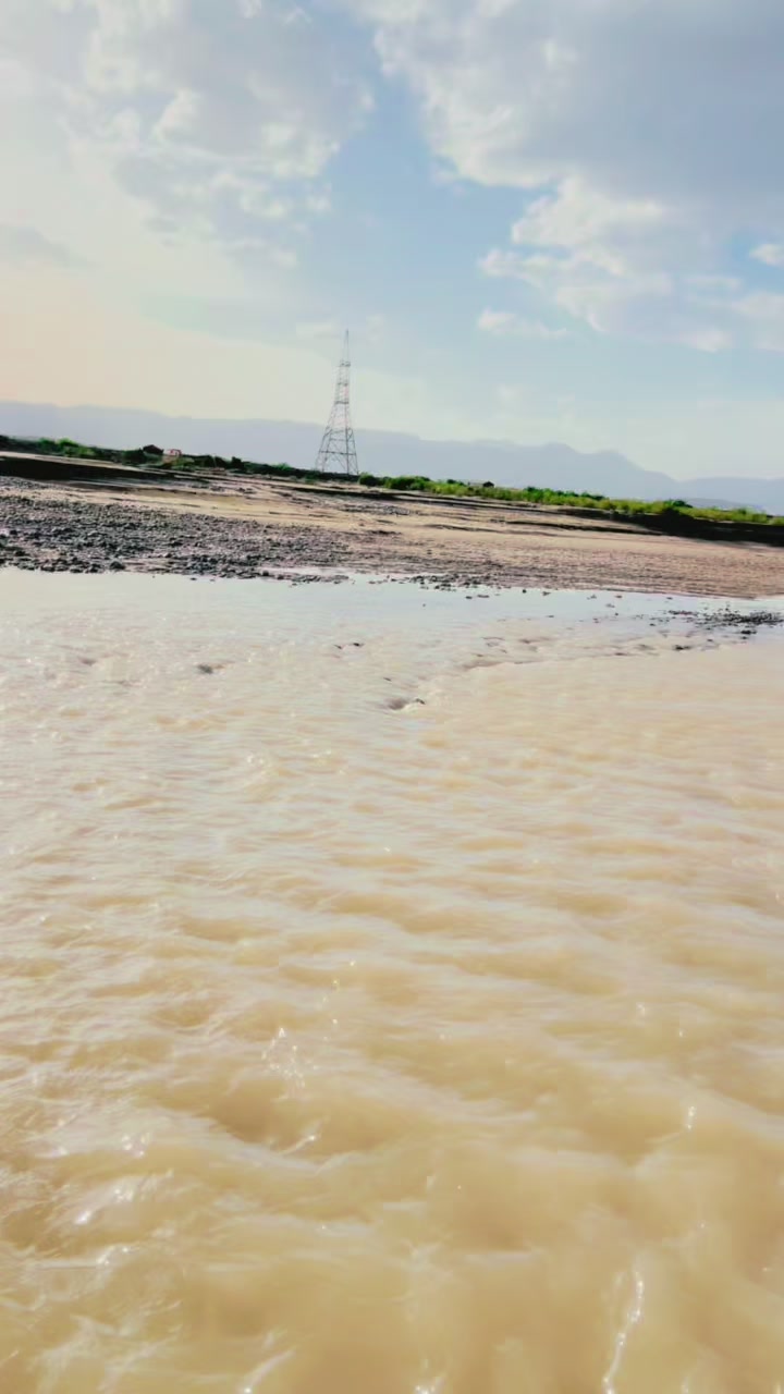 @باغی جاجا 303