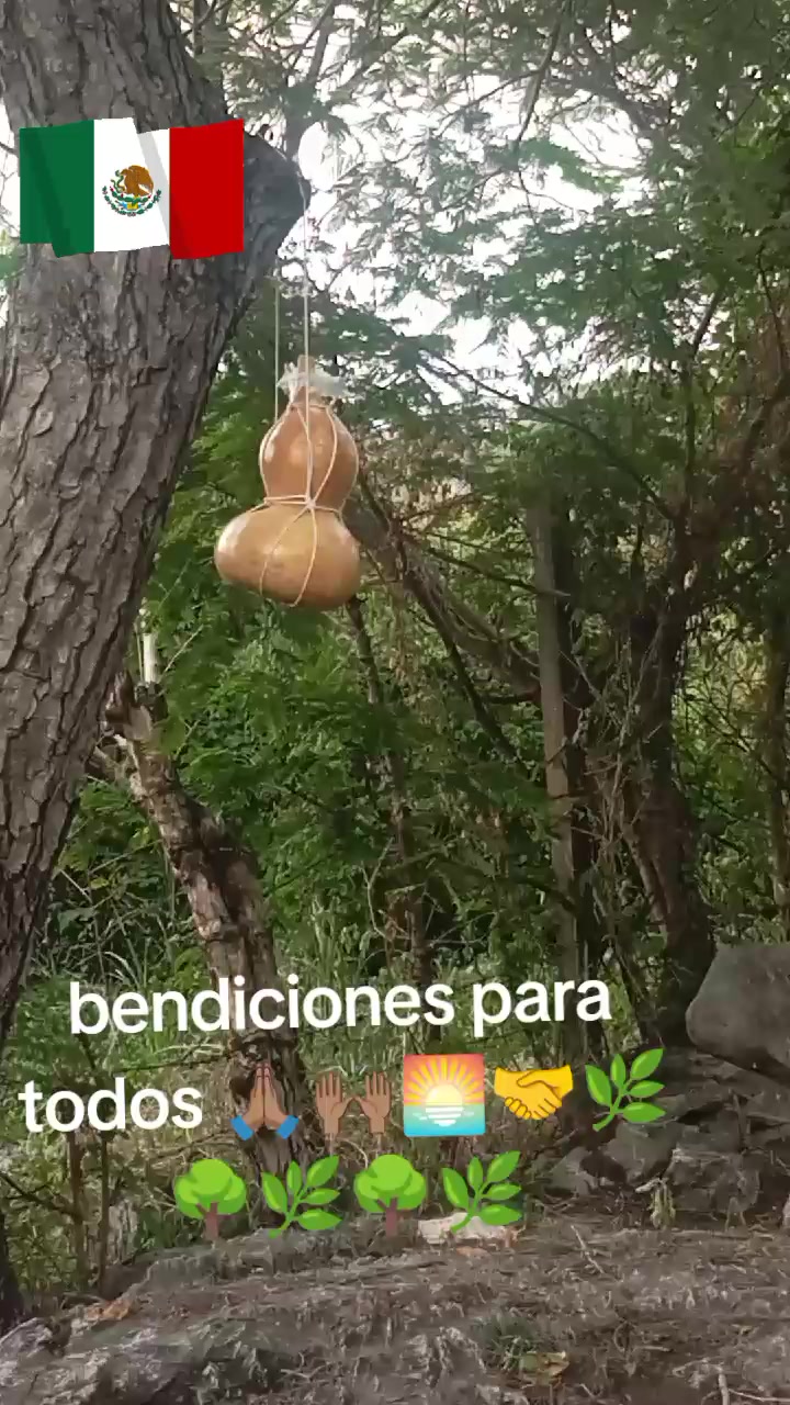 @antonio