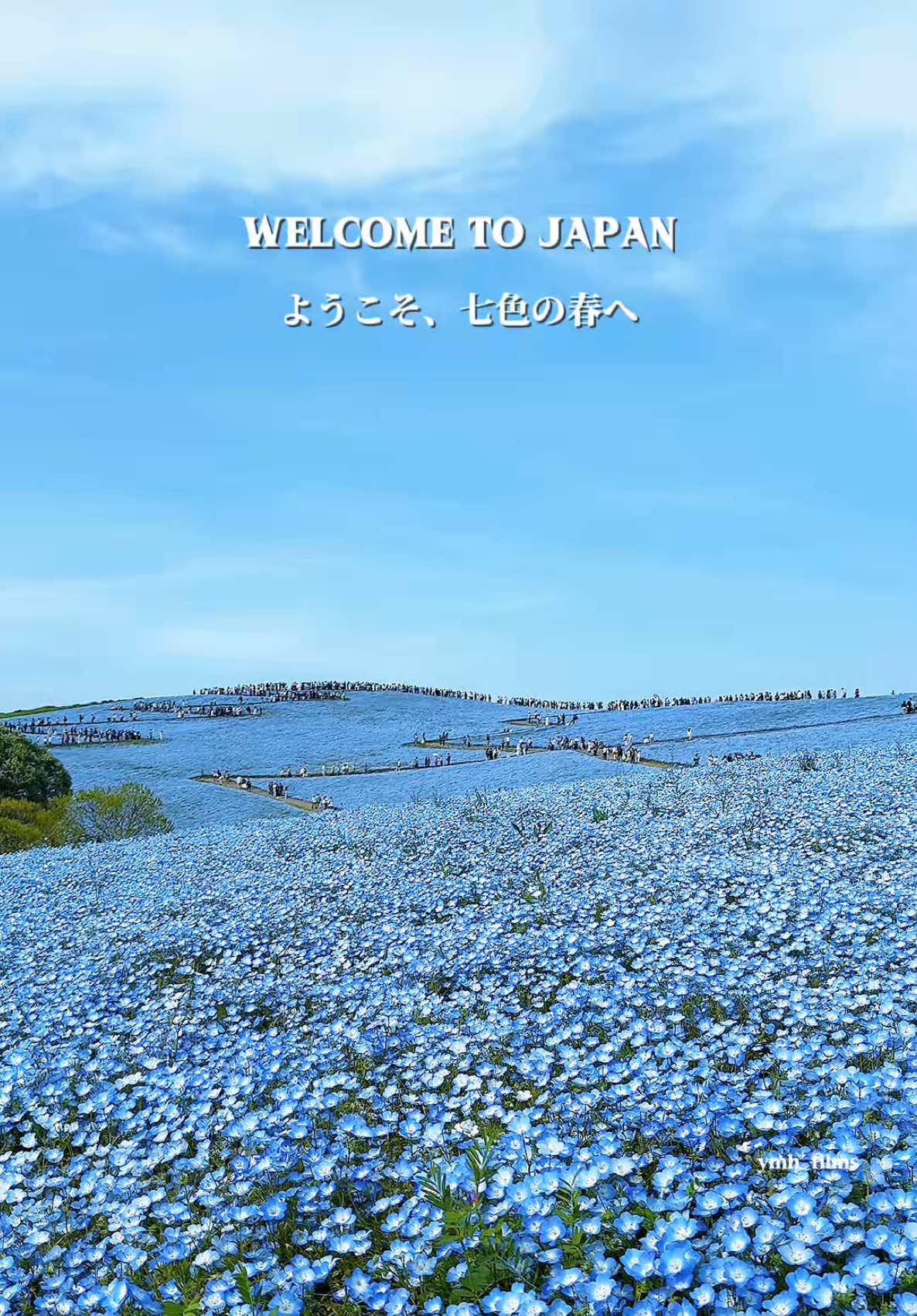 @ymh_films