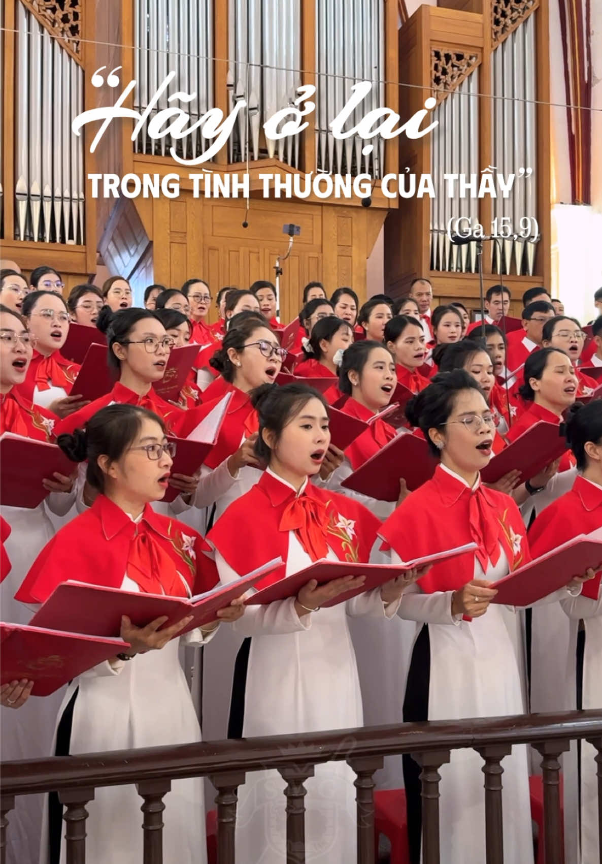 @Ca đoàn Maria Goretti