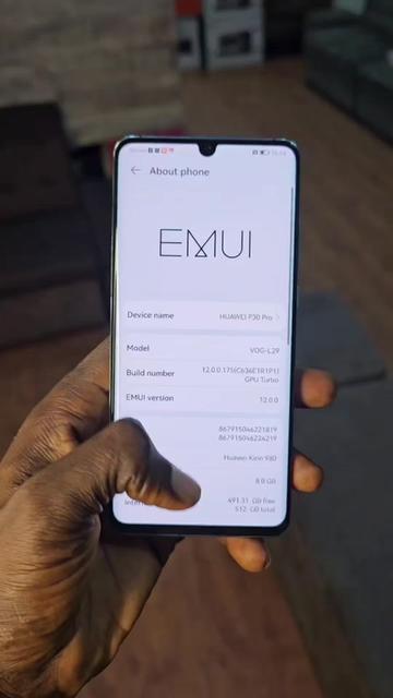 @TheElectsng