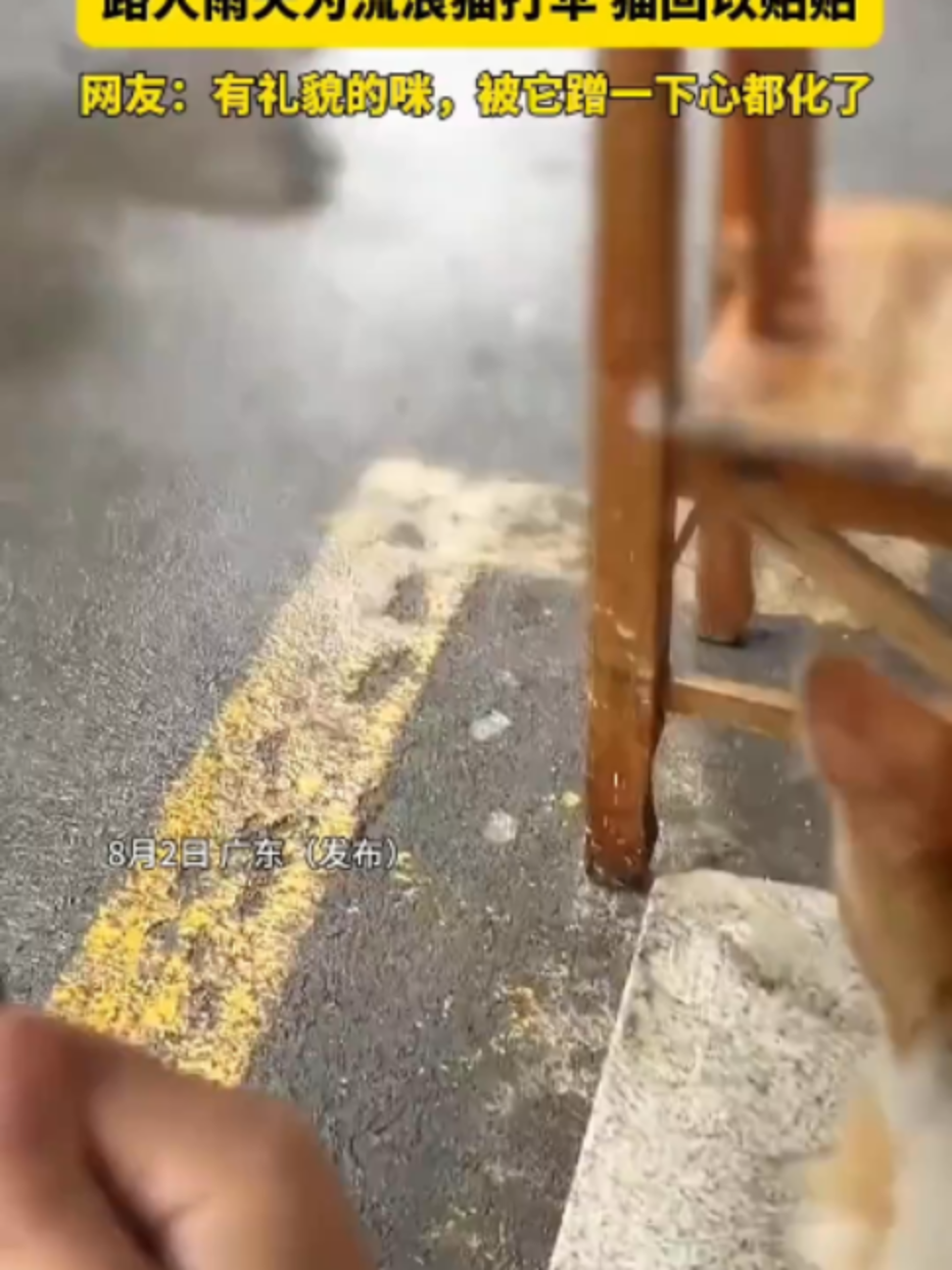 @中国蓝国际