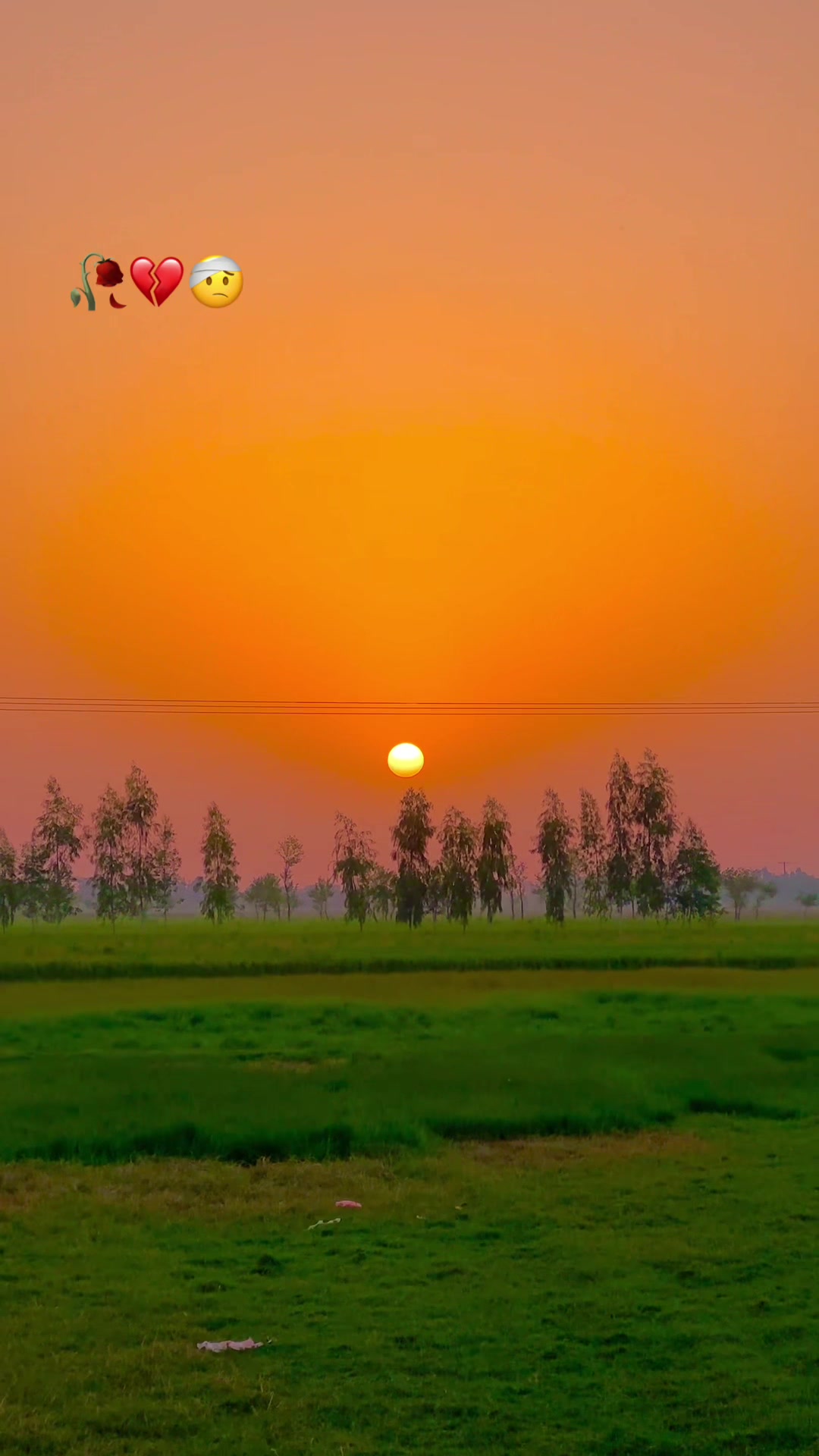 @🌾میں۔ میرا۔ پنڈ🎋