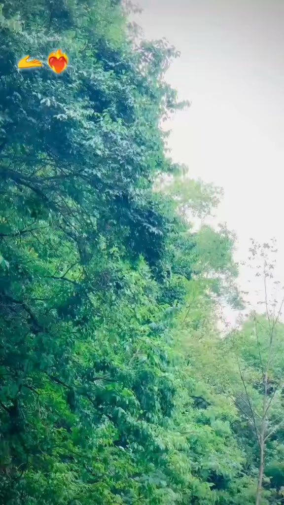 @محمدعلی اعوان⚜️