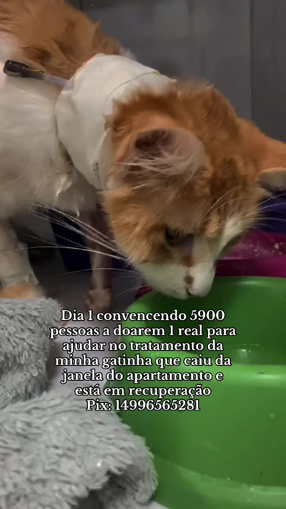 @Vict&oacute;ria| Cartomante Quimbanda