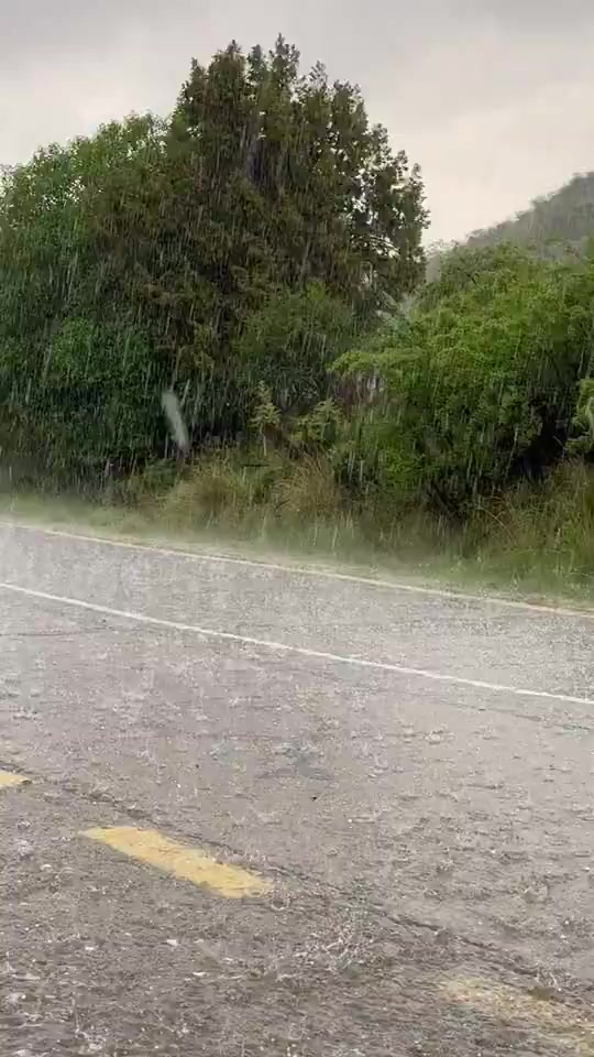 @آبووسآم برق آلَساحل⚡️⛈️