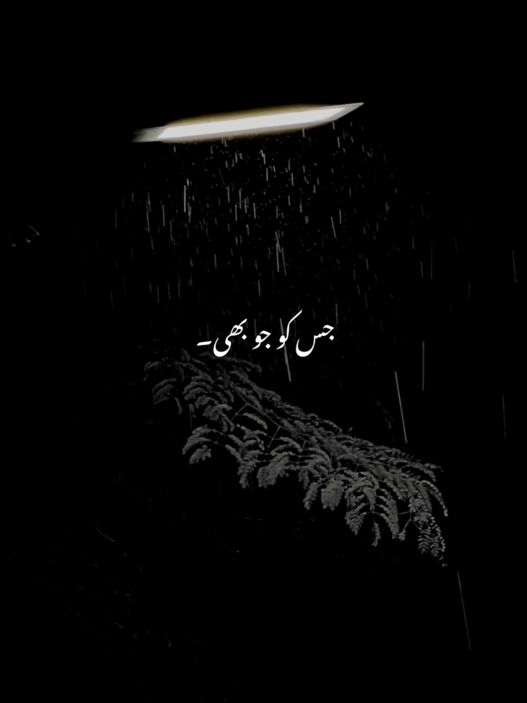 @𝘼𝙐𝙉 𝙓 𝙀𝘿𝙄𝙏𝙕