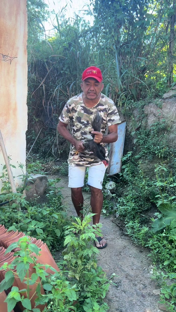 @Adão Oficial