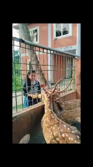 @đĨ° Prema đĨ°