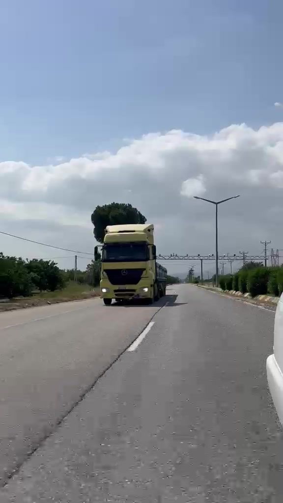@Ahmet Aşkın