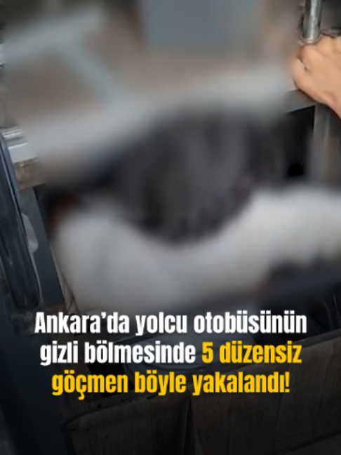 @Mynet