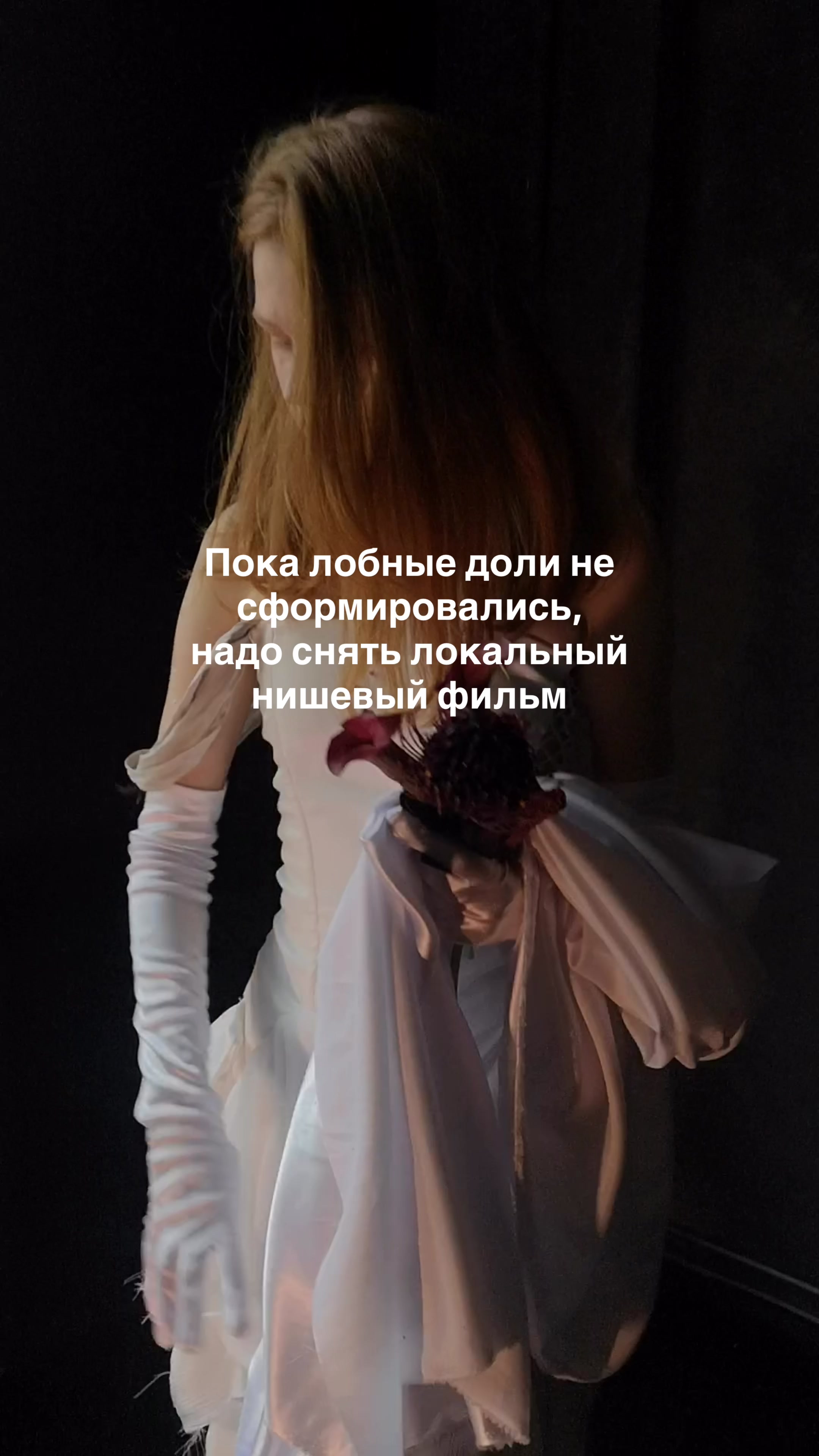 @Elifejka