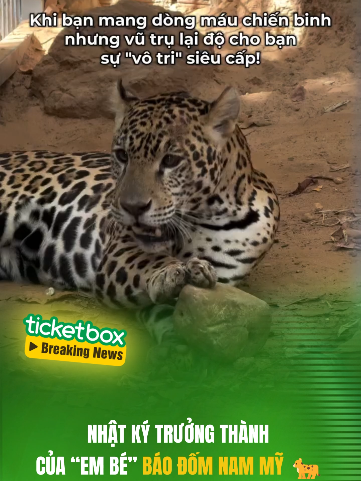 @Ticketbox.vn