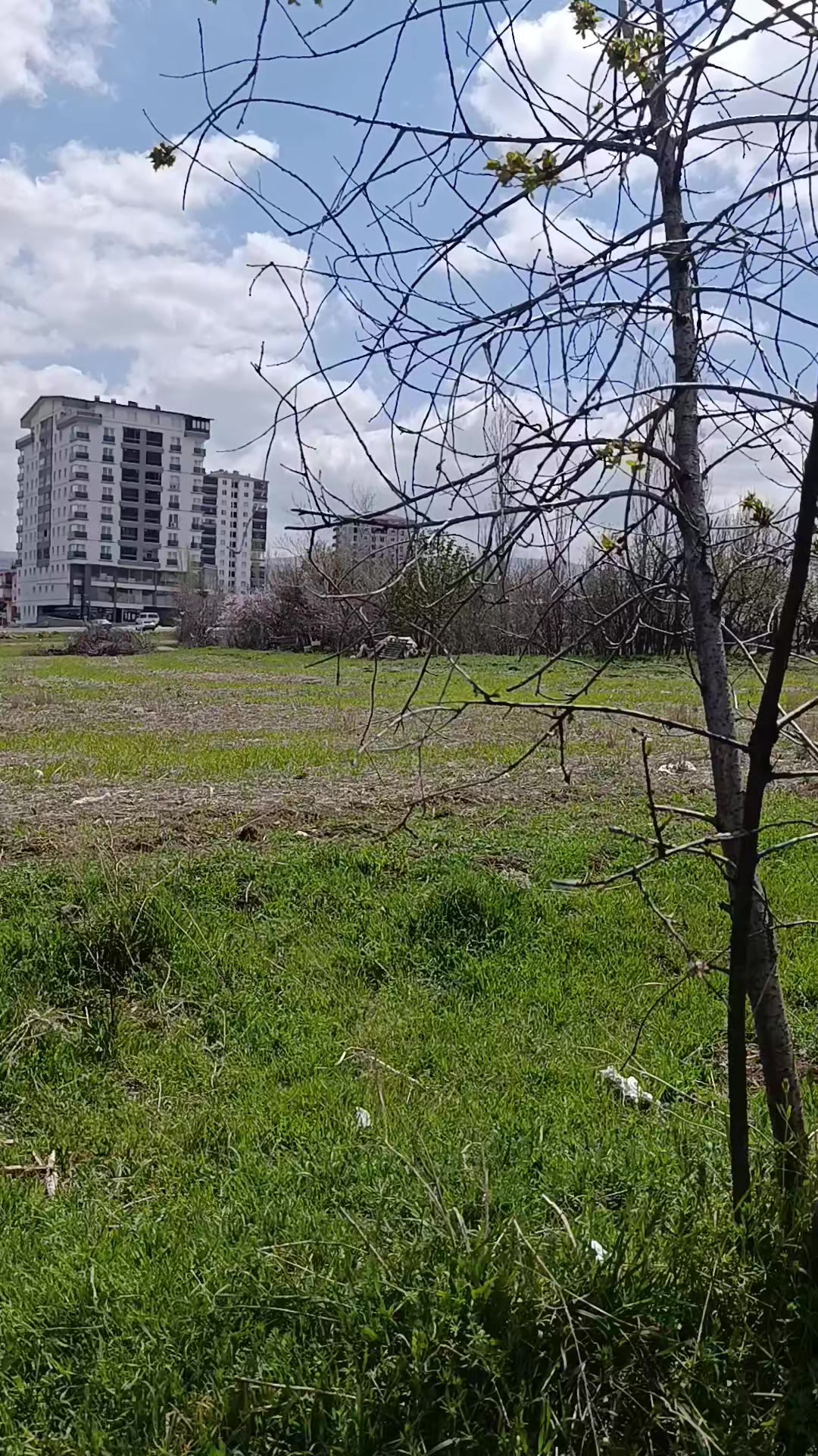 @Gizem Aygün.19