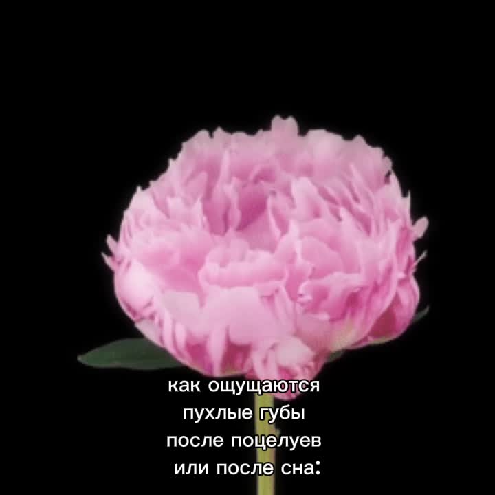 @Ристи