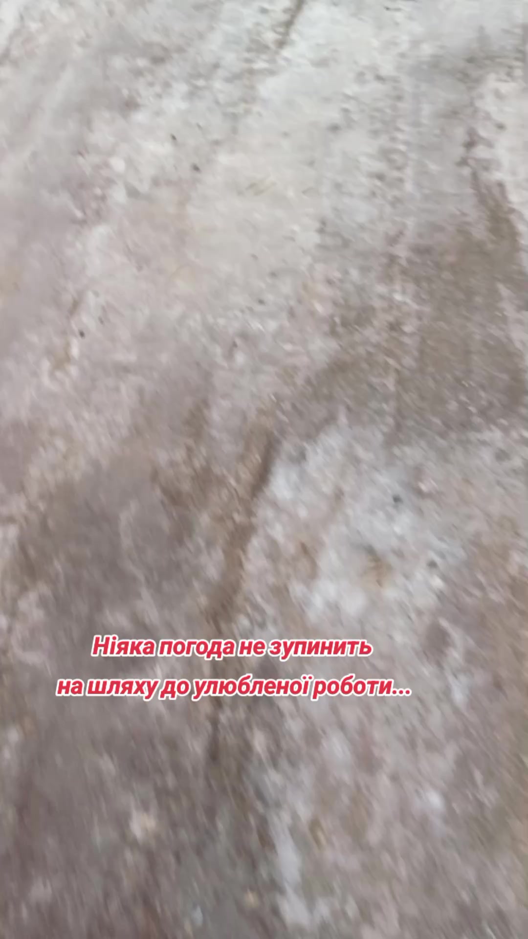 @anna