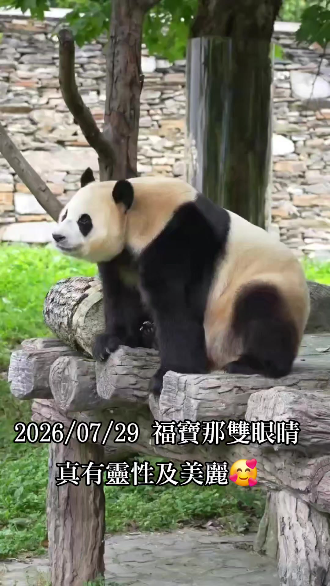 @福寶需要愛的抱抱