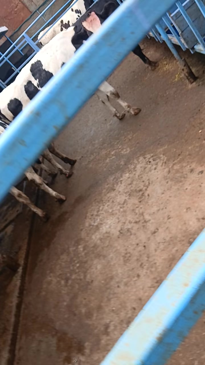 @Dennis Mukundi Wambui