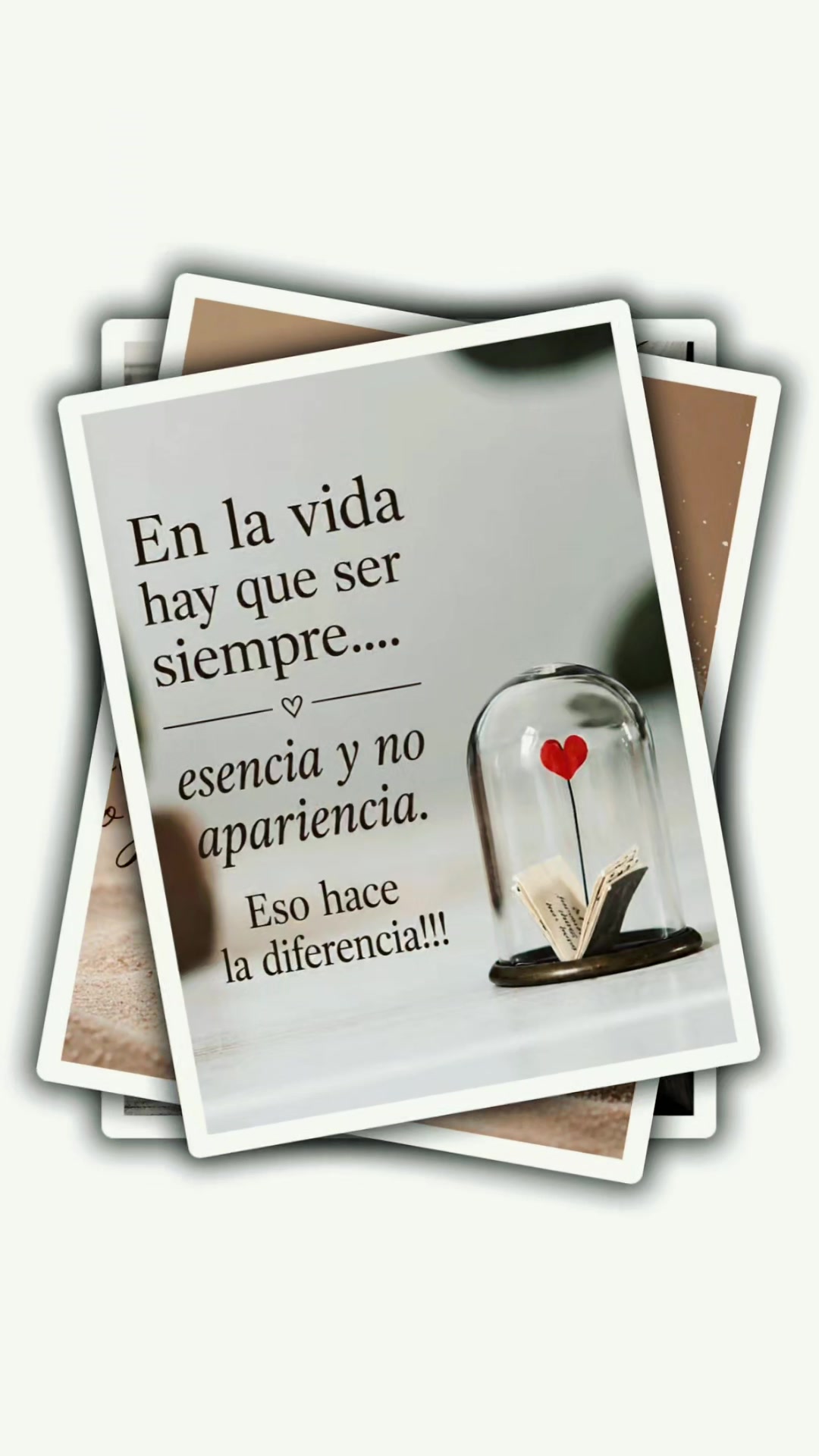 @🐼🙈Ediña14❤️🪖 🌻