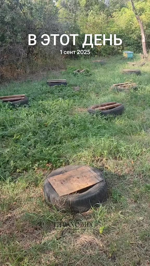@Берецький мед