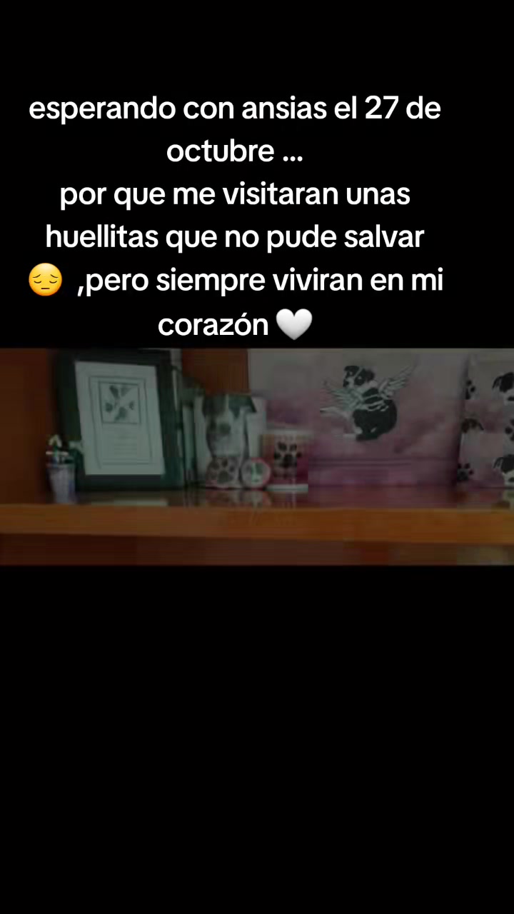 @varcan❤️