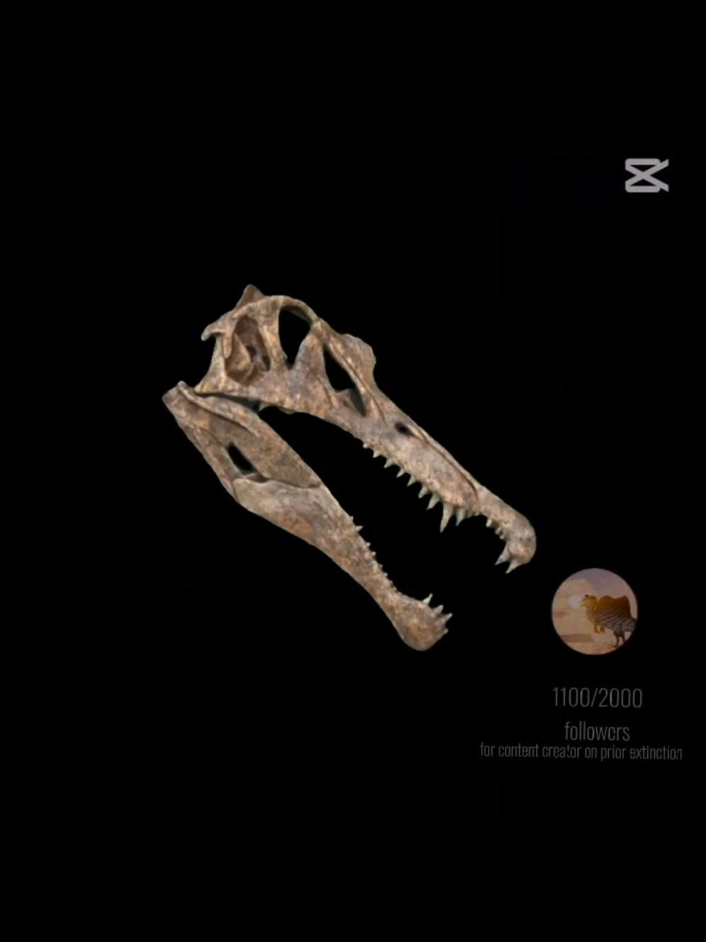 @S҉P҉I҉D҉O҉3҉O҉R҉⛎