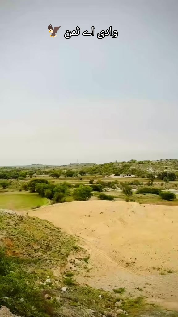 @Sardar Shahzad khan Tamman