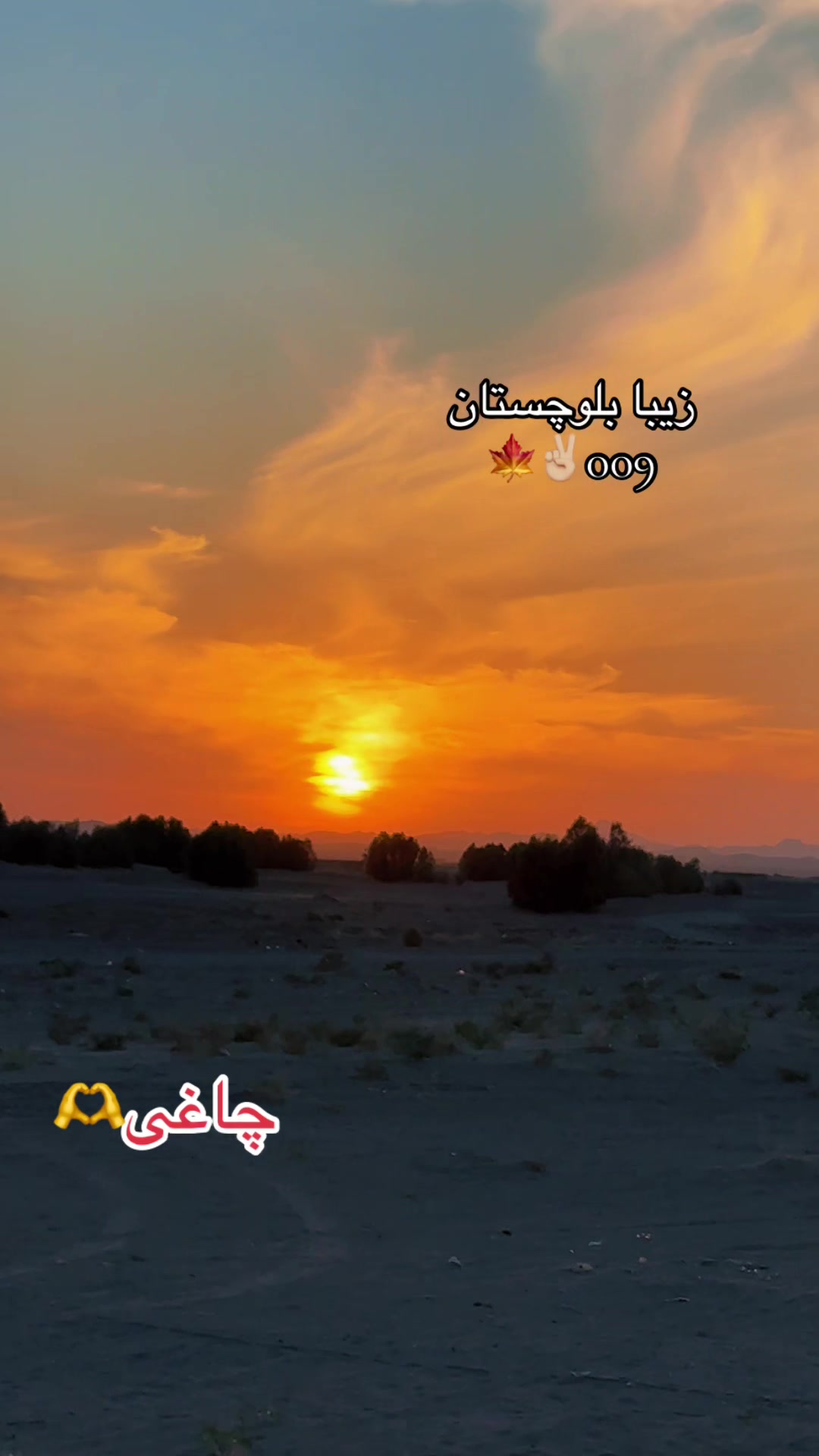 @✌بگ فائن بالاچ شاہوانی ✌
